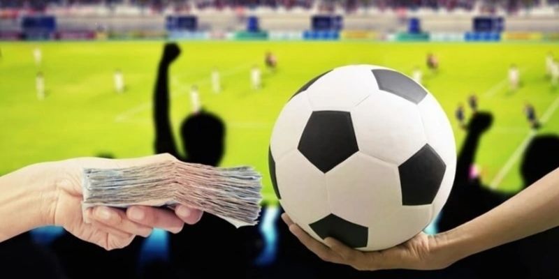 Tổng hợp 5 kèo thơm hôm nay cho người chơi