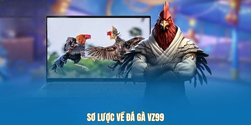 Tổng quan về đá gà vz99 - Nơi xứng đáng trải nghiệm